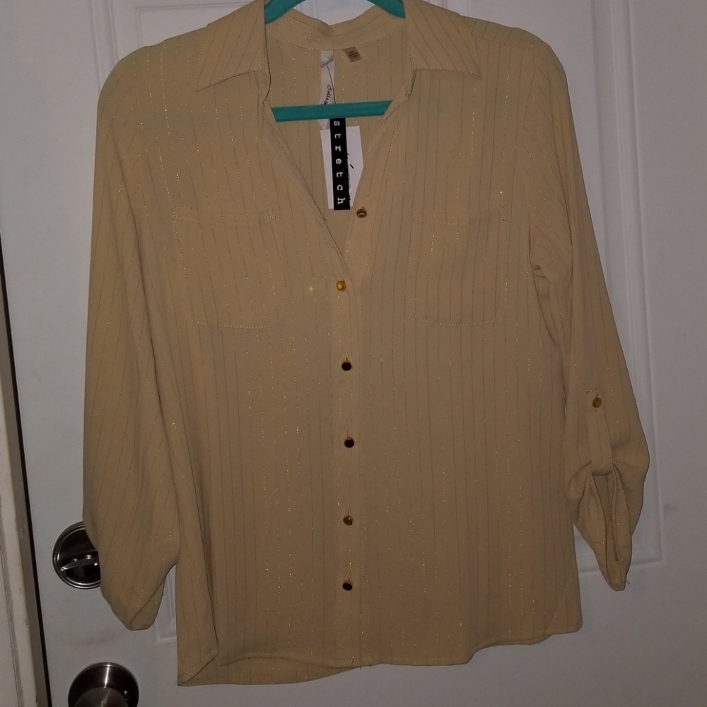 Beautiful cream color with gold threads blouse.